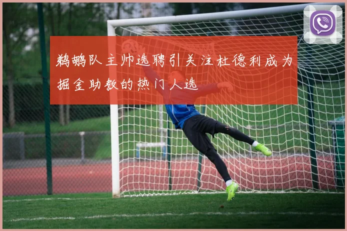 鹈鹕队主帅选聘引关注杜德利成为掘金助教的热门人选