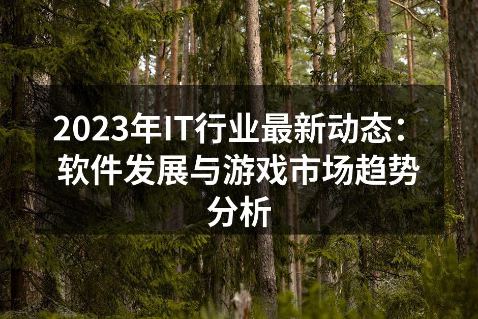 2023年IT行业会议现场