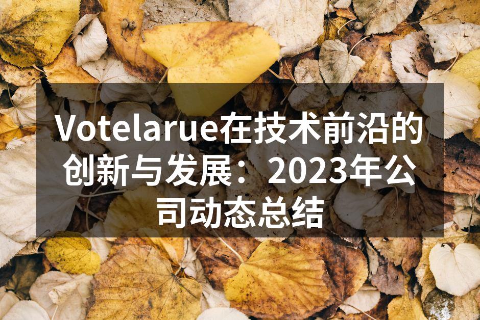 Votelarue在技术前沿的创新与发展：2023年公司动态总结